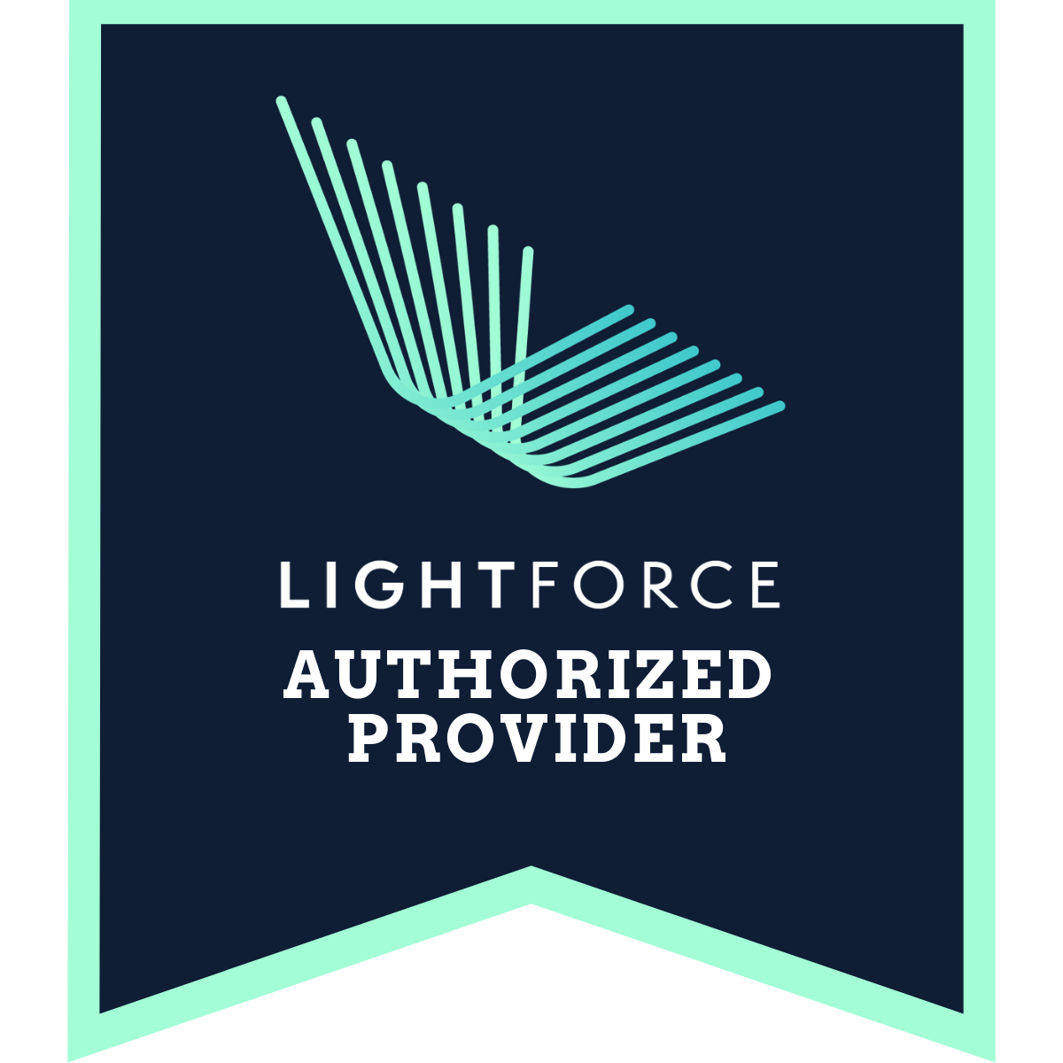 LIGHTFORCE-PROVIDER